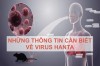 Thông tin cần biết về vi rút hanta: không chủ quan, không hoang mang