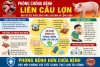 CHỦ ĐỘNG PHÒNG, CHỐNG BỆNH LIÊN CẦU LỢN: BẢO VỆ SỨC KHỎE BẢN THÂN, GIA ĐÌNH VÀ CỘNG ĐỒNG