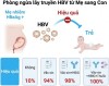 Hành trình 9 tháng an toàn: Bảo vệ con khỏi Viêm gan Virus B