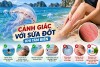 Cảnh giác với sứa đốt khi tắm biển