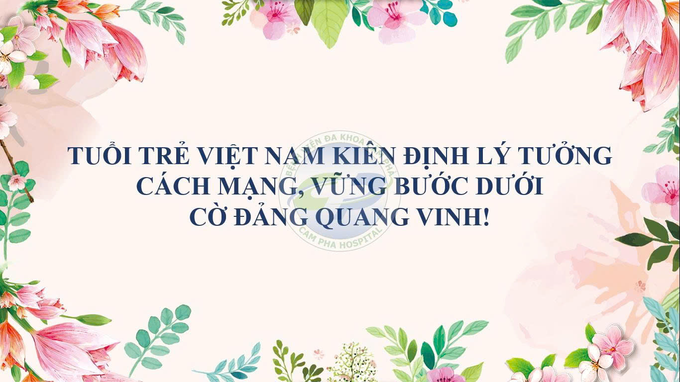Tuổi trẻ Việt Nam kiên định lý tưởng cách mạng, vững bước dưới cờ Đảng quang vinh!