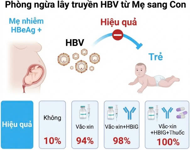 Hành trình 9 tháng an toàn: Bảo vệ con khỏi Viêm gan Virus B
